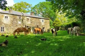 Granja Labrada: Alojamiento con caballos